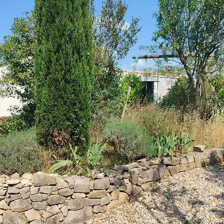 Dans Maison En Garrigue Nimoise 홈스테이 님